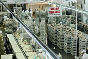 Sala de envasado