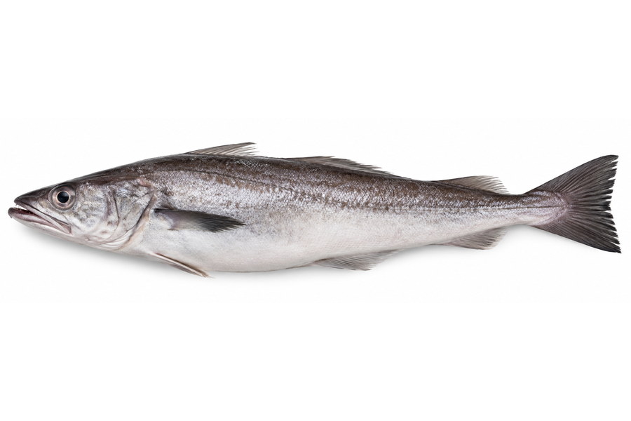 Merluza
